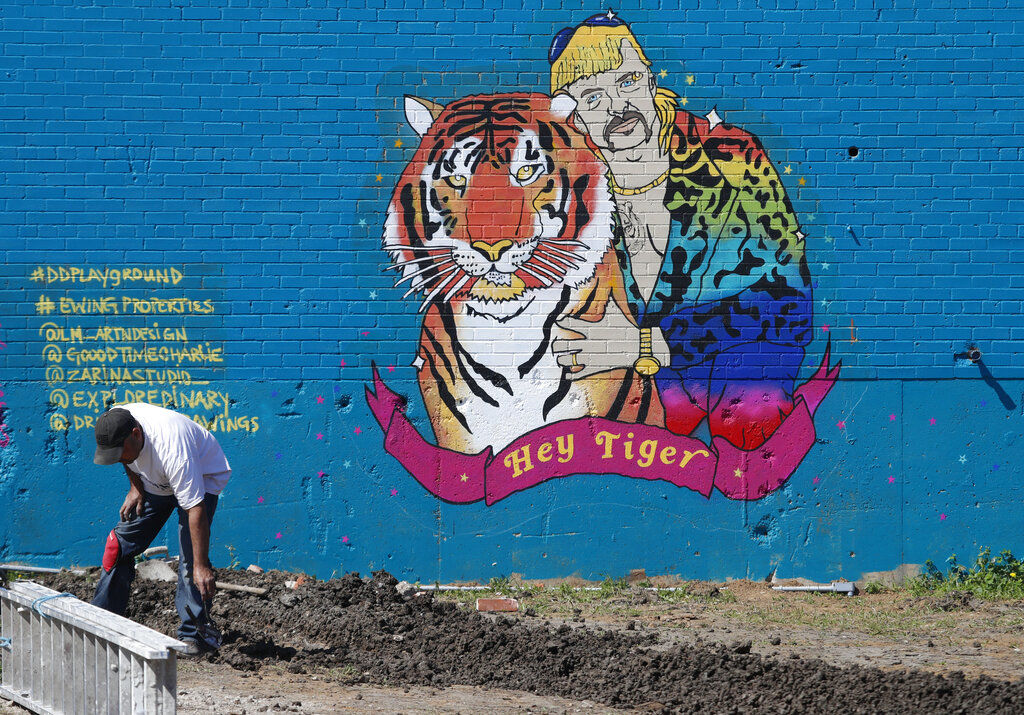 The Washington Tiger Kings